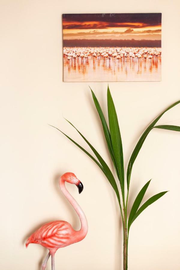 Flamingo Apartment مالقة المظهر الخارجي الصورة