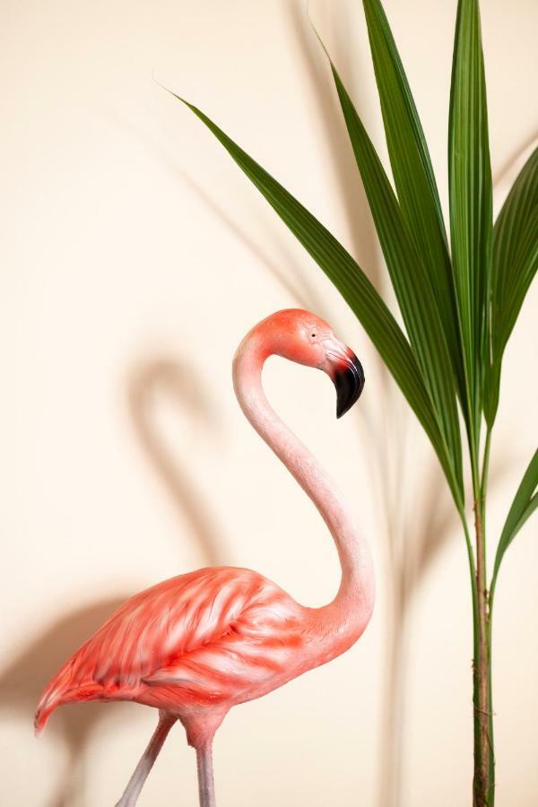 Flamingo Apartment مالقة المظهر الخارجي الصورة